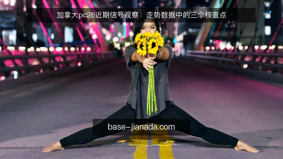 加拿大pc28近期信号观察：走势数据中的三个核查点