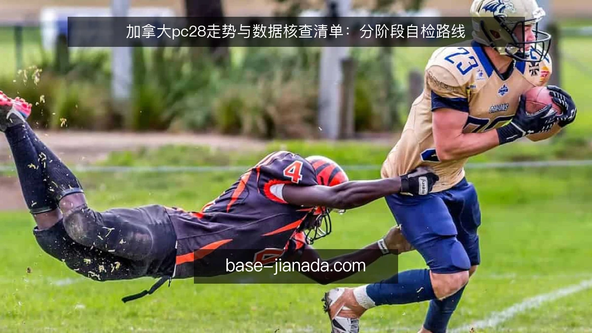 加拿大pc28走势与数据核查清单：分阶段自检路线