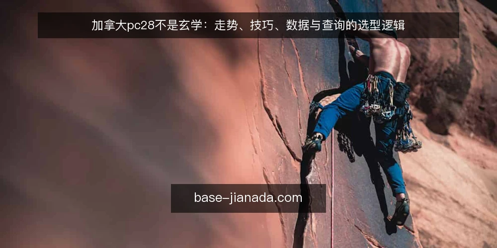 加拿大pc28不是玄学：走势、技巧、数据与查询的选型逻辑 — 需求定义：你究竟在找什么？ 配图