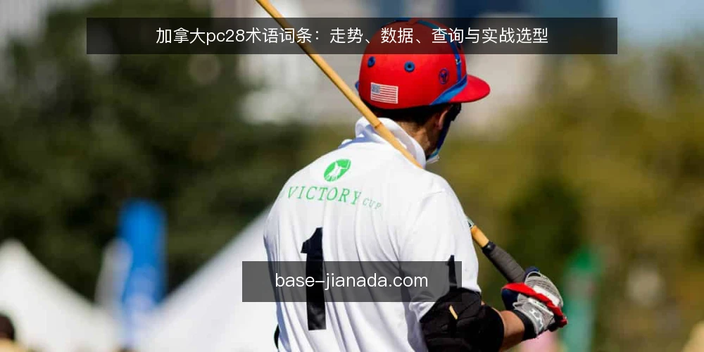 加拿大pc28术语词条：走势、数据、查询与实战选型 — 术语定义：核心词条一览 配图
