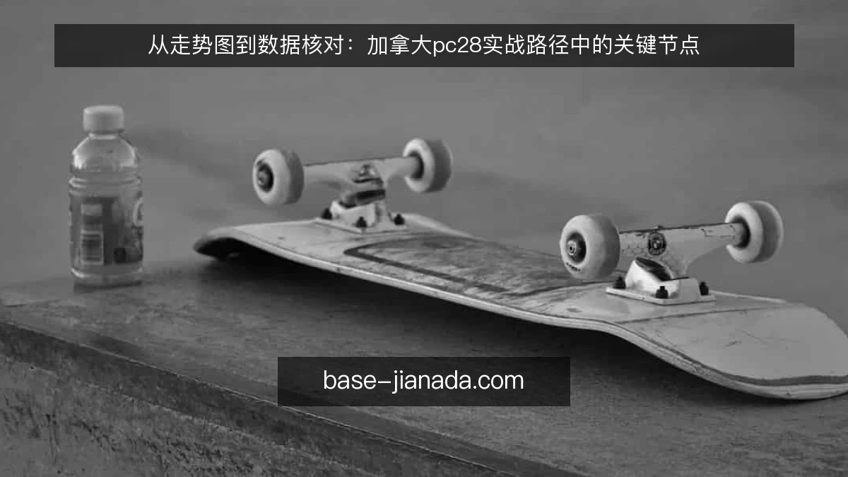 从走势图到数据核对：加拿大pc28实战路径中的关键节点