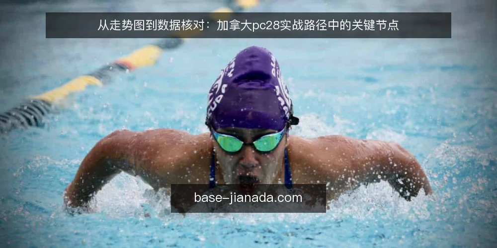 从走势图到数据核对：加拿大pc28实战路径中的关键节点 — 场景：一个普通玩家的数据观察起点 配图