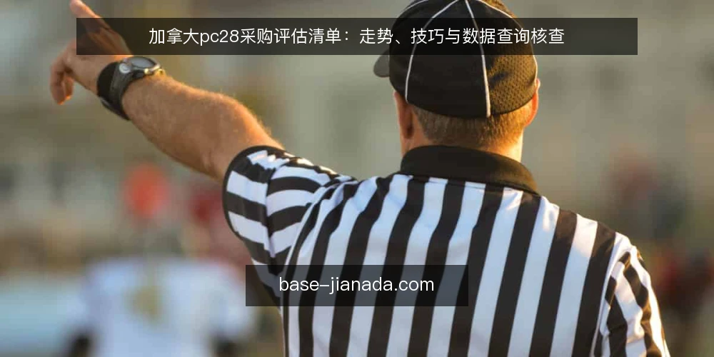 加拿大pc28采购评估清单:走势、技巧与数据查询核查 — 为何现在需要审计加拿大pc28相关工具 配图