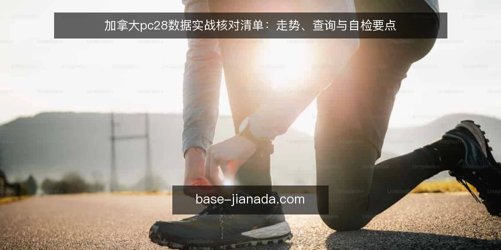 加拿大pc28数据实战核对清单:走势、查询与自检要点 — 现场需要盯住的信号 配图