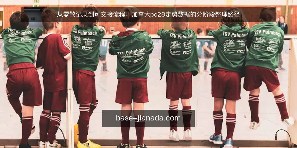 从零散记录到可交接流程:加拿大pc28走势数据的分阶段整理路径 — 先摸清基线:现有加拿大pc28记录到底记了什么 配图