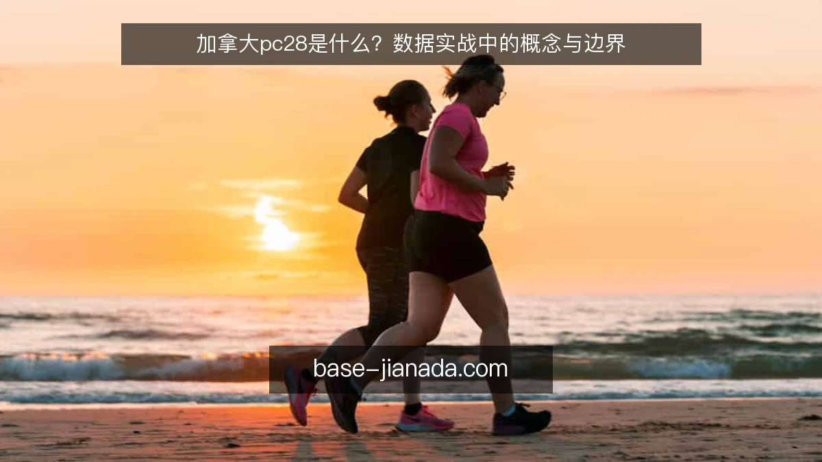 加拿大pc28是什么？数据实战中的概念与边界