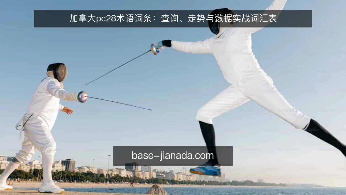 加拿大pc28术语词条：查询、走势与数据实战词汇表
